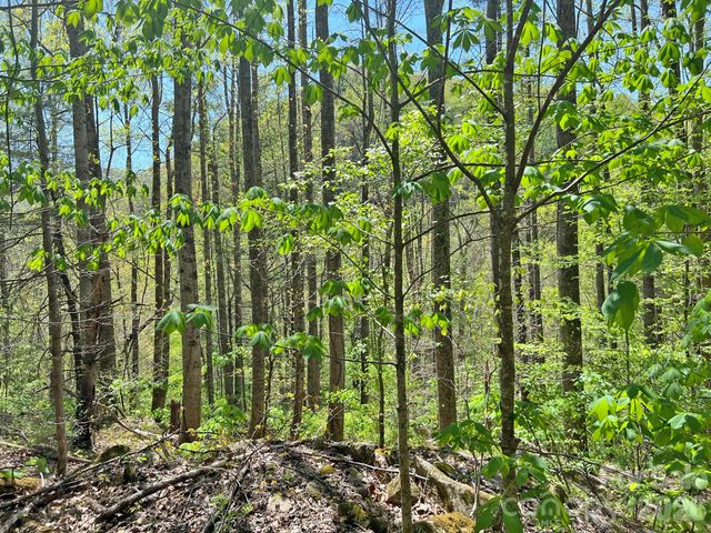 9999 NC 209 Highway, Hot Springs, NC 28743