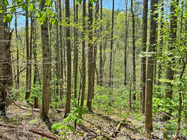 9999 NC 209 Highway, Hot Springs, NC 28743