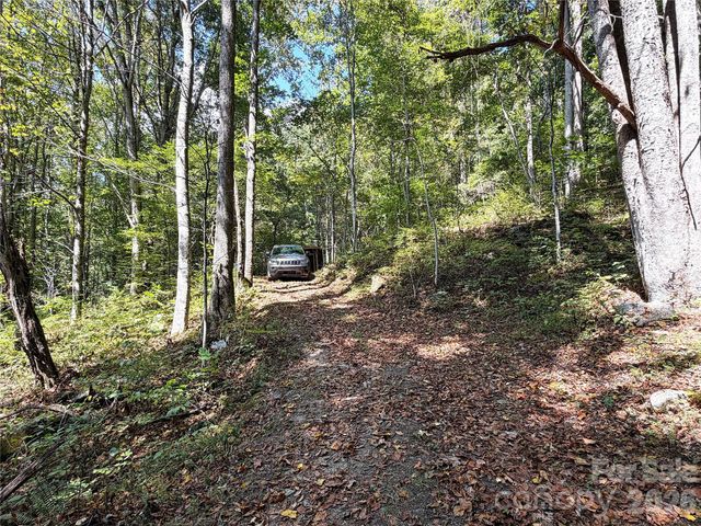 9999 NC 209 Highway, Hot Springs, NC 28743