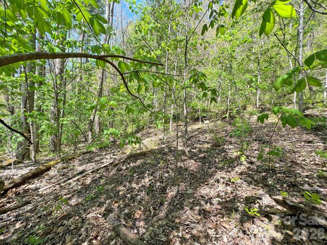 9999 NC 209 Highway, Hot Springs, NC 28743