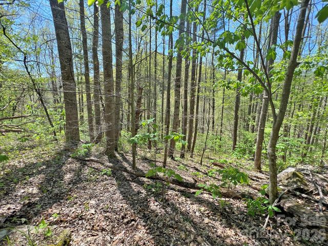 9999 NC 209 Highway, Hot Springs, NC 28743