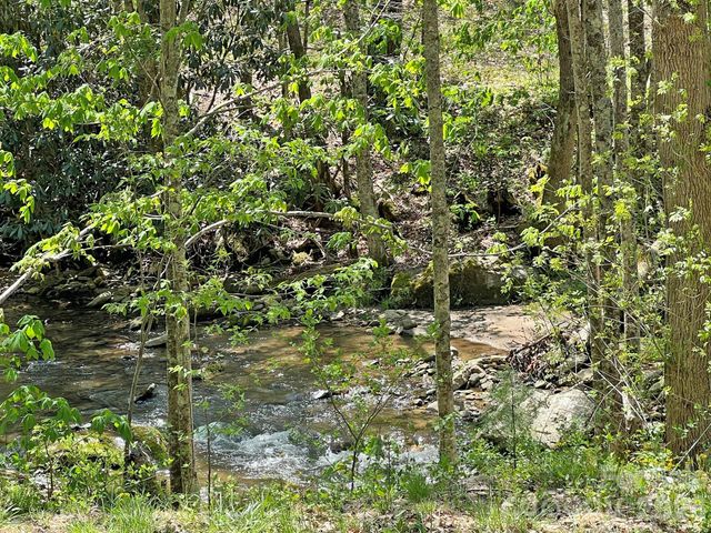 9999 NC 209 Highway, Hot Springs, NC 28743