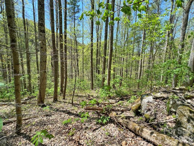 9999 NC 209 Highway, Hot Springs, NC 28743