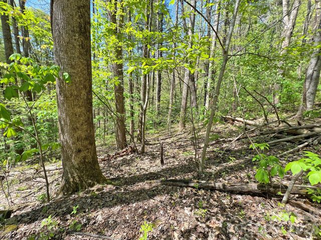 9999 NC 209 Highway, Hot Springs, NC 28743