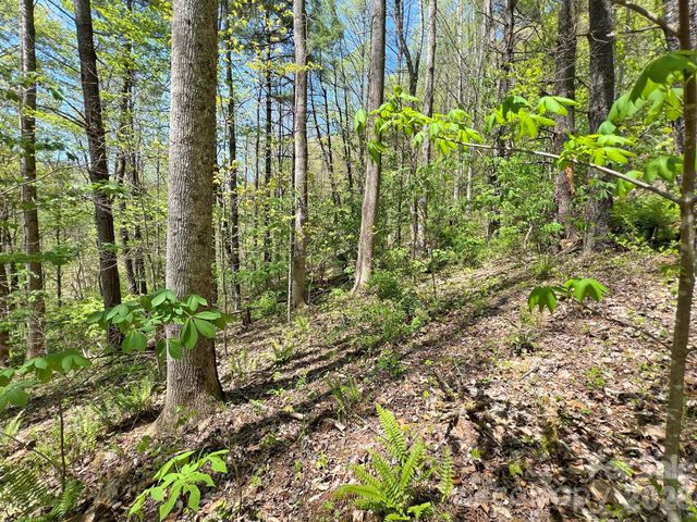 9999 NC 209 Highway, Hot Springs, NC 28743