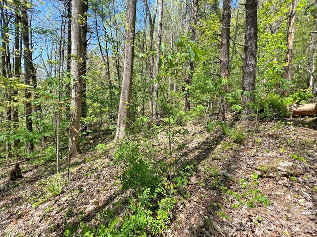 9999 NC 209 Highway, Hot Springs, NC 28743