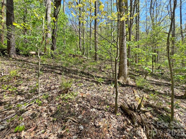 9999 NC 209 Highway, Hot Springs, NC 28743