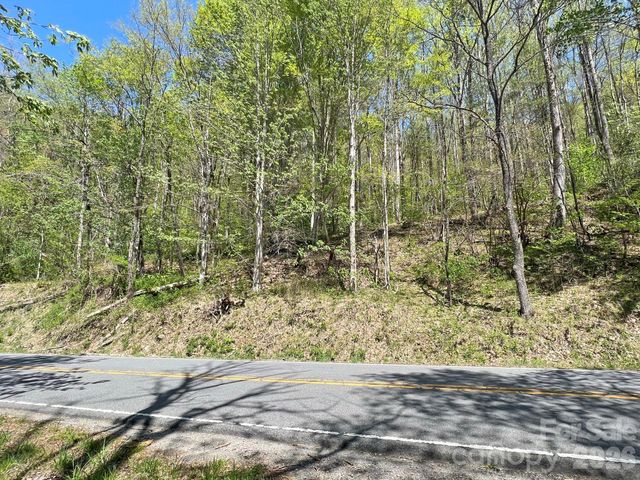 9999 NC 209 Highway, Hot Springs, NC 28743