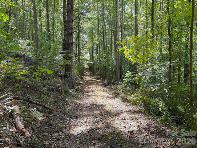 9999 NC 209 Highway, Hot Springs, NC 28743