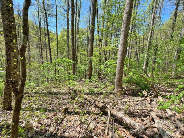 9999 NC 209 Highway, Hot Springs, NC 28743
