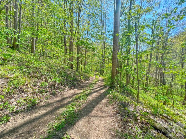 9999 NC 209 Highway, Hot Springs, NC 28743