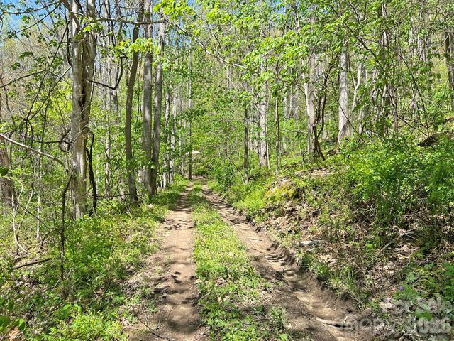 9999 NC 209 Highway, Hot Springs, NC 28743