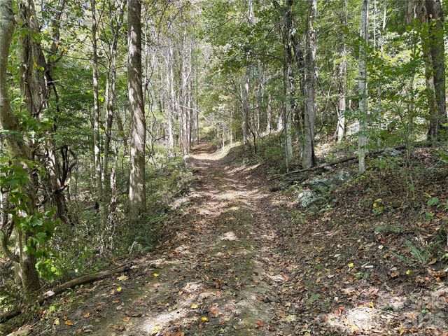 9999 NC 209 Highway, Hot Springs, NC 28743
