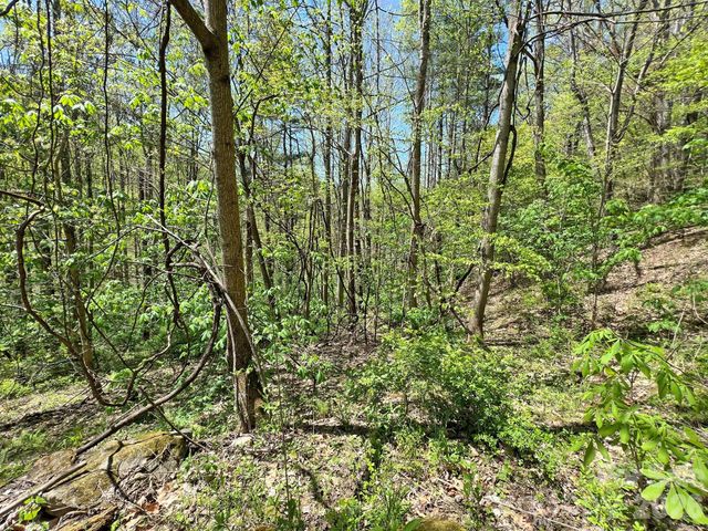 9999 NC 209 Highway, Hot Springs, NC 28743