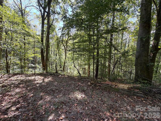 9999 NC 209 Highway, Hot Springs, NC 28743