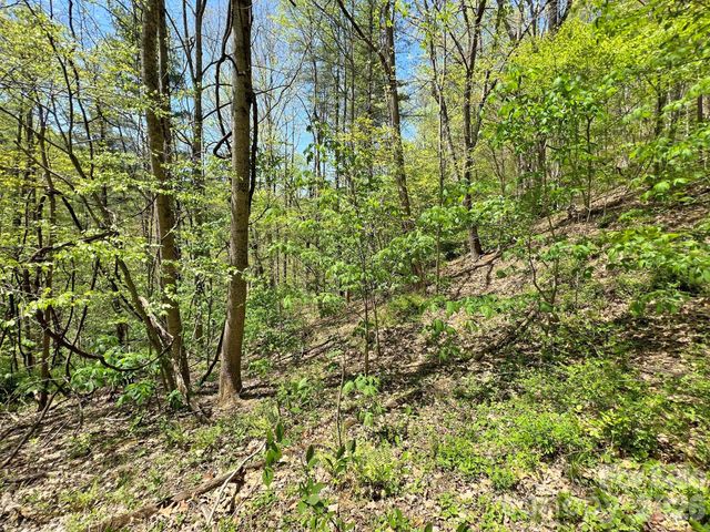 9999 NC 209 Highway, Hot Springs, NC 28743