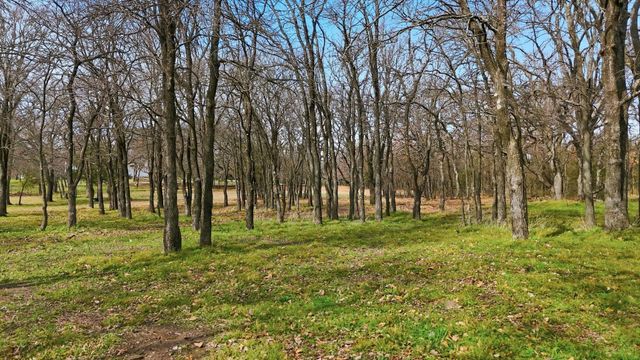 776 Orchid Hill Lane, Copper Canyon, TX 76226