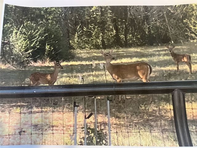 776 Orchid Hill Lane, Copper Canyon, TX 76226