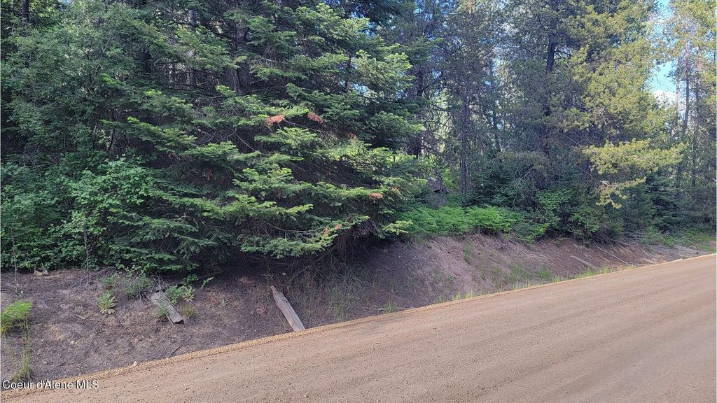 NNA Gleason McAbee Falls Rd, Priest River, ID 83856 photo 15