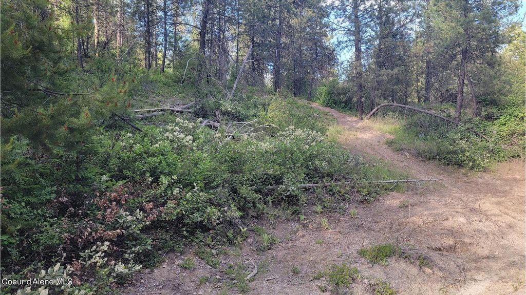 NNA Gleason McAbee Falls Rd, Priest River, ID 83856 photo 17