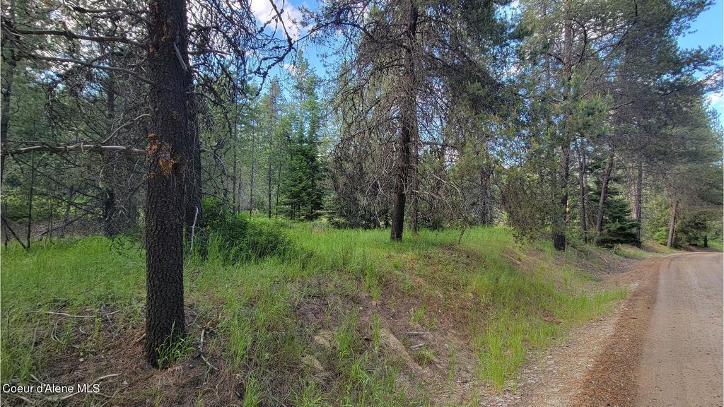 NNA Gleason McAbee Falls Rd, Priest River, ID 83856 photo 23