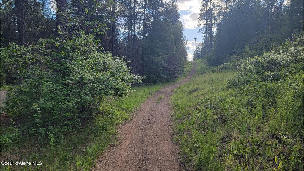 NNA Gleason McAbee Falls Rd, Priest River, ID 83856 photo 4