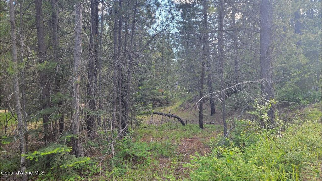 NNA Gleason McAbee Falls Rd, Priest River, ID 83856 photo 7