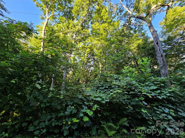 102 Big Ridge Road 102, Burnsville, NC 28714