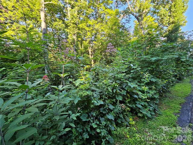 102 Big Ridge Road 102, Burnsville, NC 28714