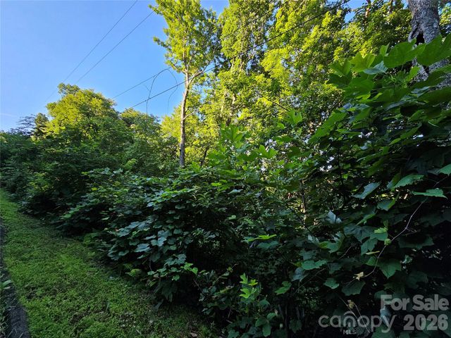 102 Big Ridge Road 102, Burnsville, NC 28714