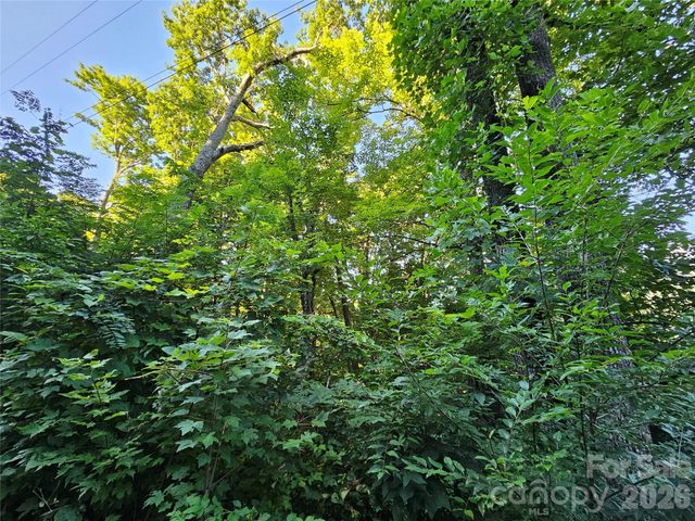 102 Big Ridge Road 102, Burnsville, NC 28714