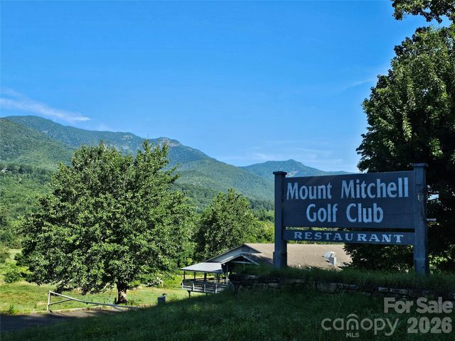 102 Big Ridge Road 102, Burnsville, NC 28714