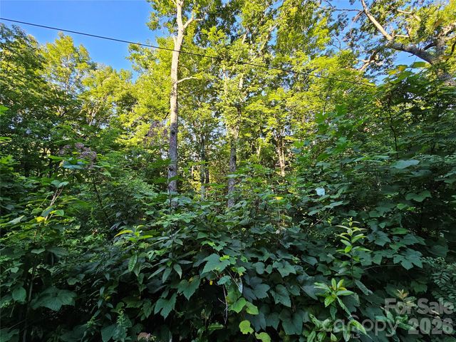 102 Big Ridge Road 102, Burnsville, NC 28714