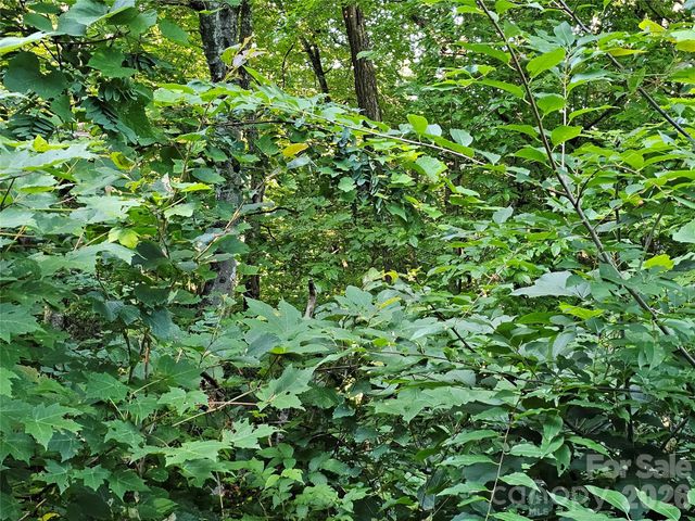 102 Big Ridge Road 102, Burnsville, NC 28714