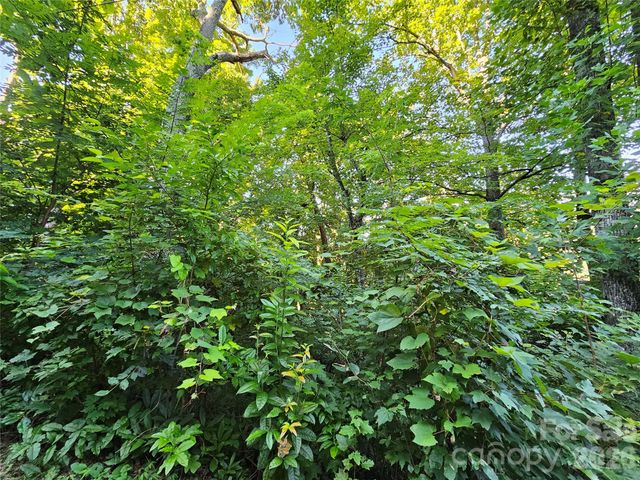 102 Big Ridge Road 102, Burnsville, NC 28714
