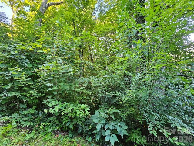 102 Big Ridge Road 102, Burnsville, NC 28714