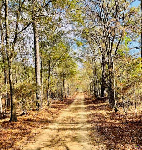 829 Pope Road, Roberta, GA 31078