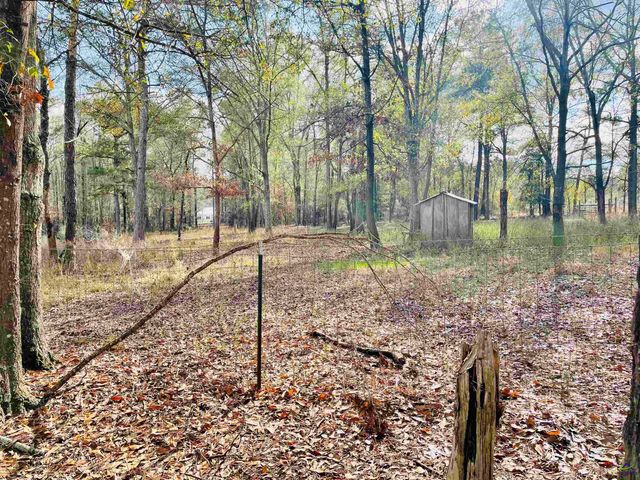 829 Pope Road, Roberta, GA 31078