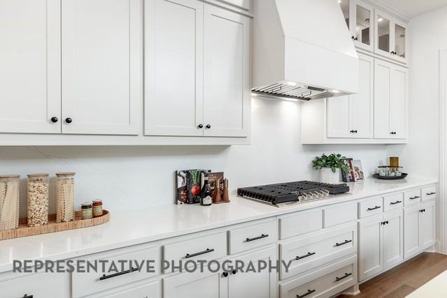 10009 Gray Fox Drive, Denton, TX 76207