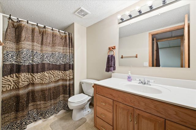 13960 Gadwall Court, Rogers, MN 55374