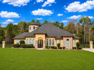 19709 Desna Drive, Porter, TX 77365