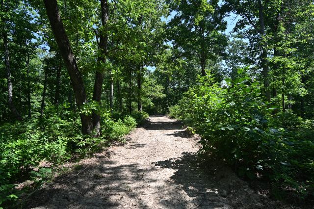 0 Bear Creek Rd, Waverly, TN 37185
