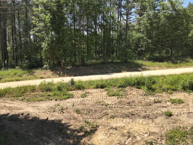 0 Bear Creek Rd, Waverly, TN 37185