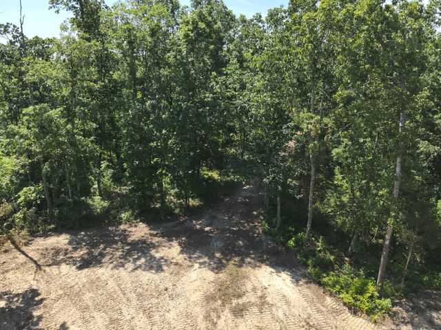 0 Bear Creek Rd, Waverly, TN 37185