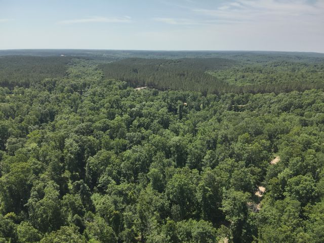 0 Bear Creek Rd, Waverly, TN 37185