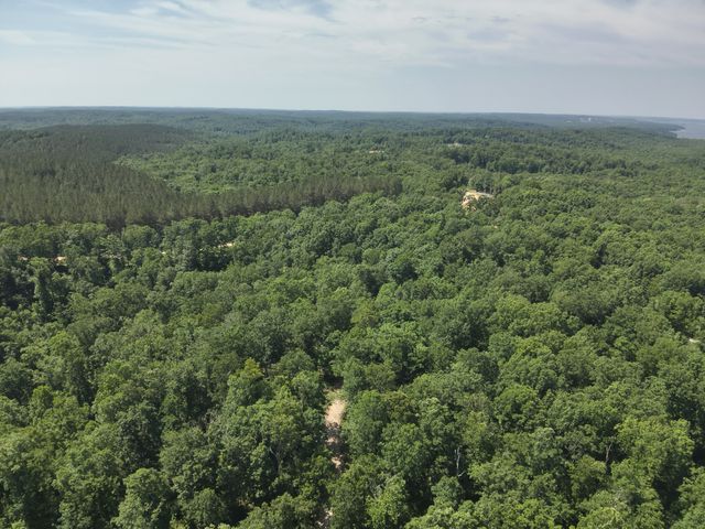 0 Bear Creek Rd, Waverly, TN 37185