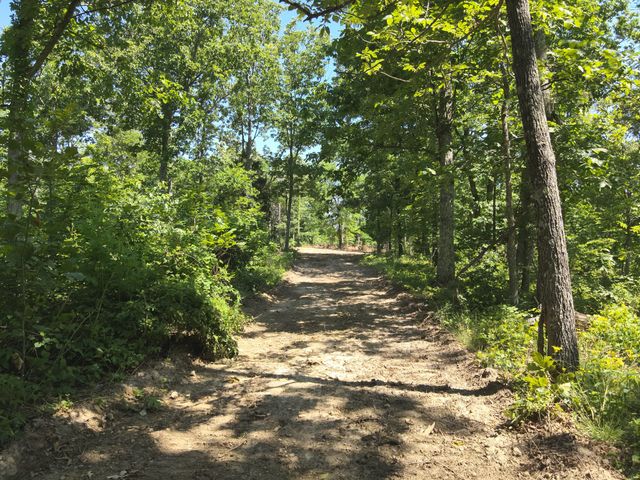 0 Bear Creek Rd, Waverly, TN 37185