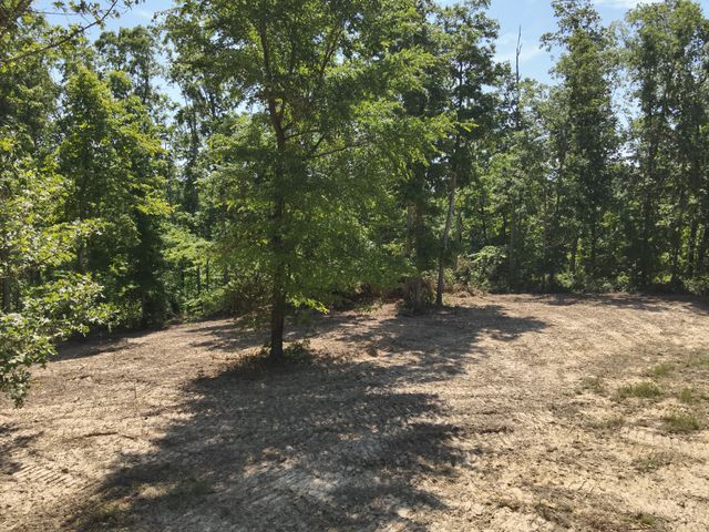 0 Bear Creek Rd, Waverly, TN 37185