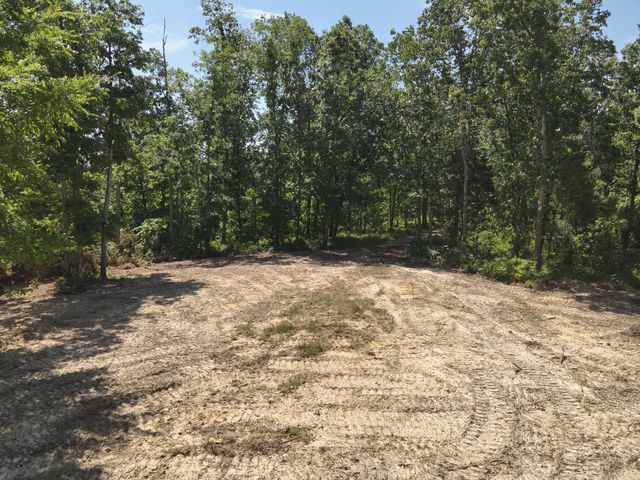 0 Bear Creek Rd, Waverly, TN 37185
