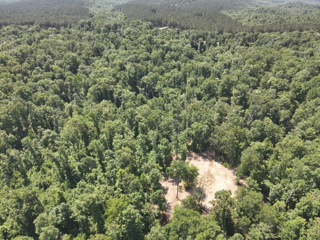0 Bear Creek Rd, Waverly, TN 37185